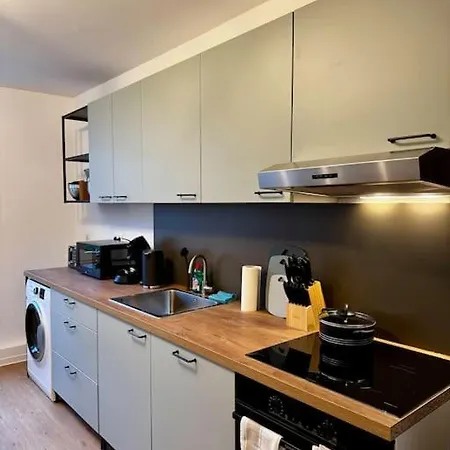 Larooms One 公寓 Halle (Saale)